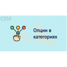 Опции в категориях