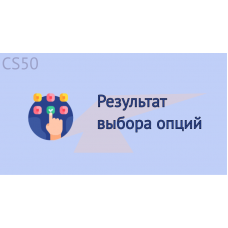Результат выбора опций