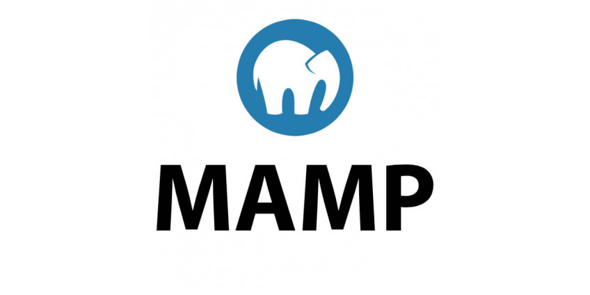 Как установить Opencart 4 MAMP